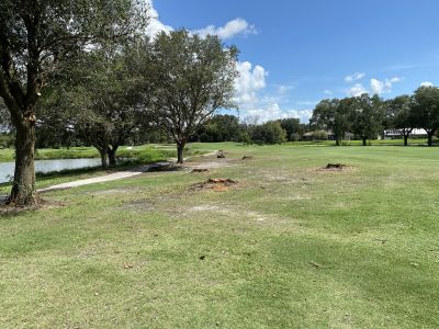 Hole 11 (2)