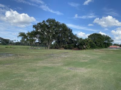 Hole 8 (1)